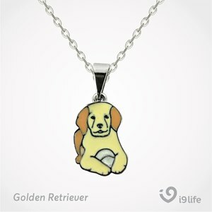 COLAR PINGENTE GOLDEN RETRIEVER I9LIFE