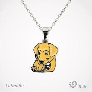 COLAR PINGENTE LABRADOR I9LIFE