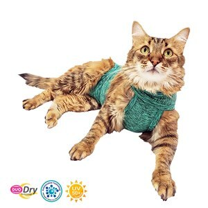 ROUPA PÓS CIRÚRGICA PARA GATO DUO DRY  - VERDE TAMANHO 0