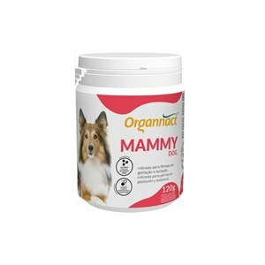 SUPLEMENTO ALIMENTAR ORGANNACT MAMMY 120G